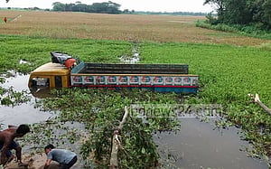 গোপালগঞ্জে ট্রাক খাদে, নিহত ৩