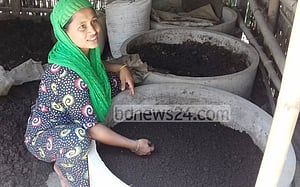 জৈবসারে স্বাবলম্বী শেরপুরের শিউলি