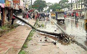 হঠাৎ নারকেল গাছ ভেঙে কলেজছাত্র নিহত