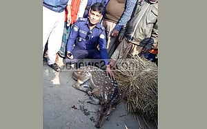 পিরোজপুরে চিত্রা হরিণ উদ্ধার