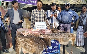 বরগুনায় হরিণের মাংস, চামড়া, মাথা জব্দ