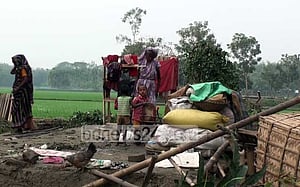 নেত্রকোণায় ঝড়ে ঘরবাড়ি বিধ্বস্ত, বিদ্যুৎ বিচ্ছিন্ন