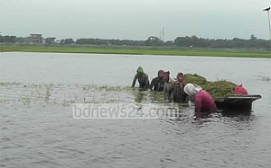 বাঁধ উপচে হাওরে পানি, ৩ নদী বিপদসীমার উপরে