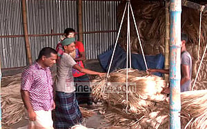 ফরিদপুরের পাটের ‘দরপতনে’ হতাশ চাষিরা