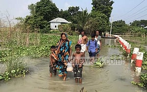 ফরিদপুরে পদ্মার পানি বেড়ে লোকালয়ে