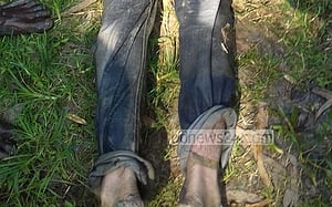 হবিগঞ্জে নিখোঁজ অটো চালকের লাশ উদ্ধার