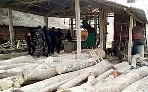 বন্ধ হল সুন্দরবন সংলগ্ন ৫ করাত কল