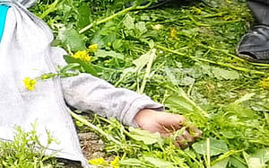 সিরাজগঞ্জে নিখোঁজের দুই দিন পর মিলল তাঁত শ্রমিকের লাশ