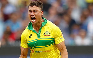 ওয়ার্নারের জায়গায় স্টয়নিস