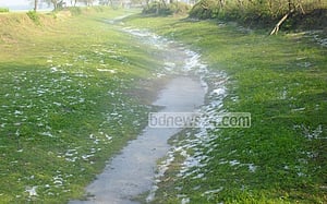 মাগুরায় শিলা বৃষ্টিতে টিনের ঘর, ফসলের ক্ষতি
