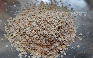 কোলেস্টেরল নিয়ন্ত্রণে ওটস যেভাবে প্রভাব রাখে