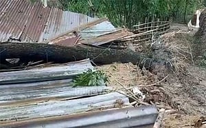 ভোলায় ঝড়ে ঘর ধসে ২ সন্তানসহ মায়ের মৃত্যু