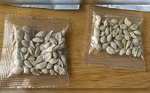ডাকযোগে বীজ: কঠোর অবস্থানে অ্যামাজন