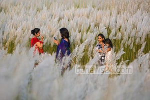 ঢাকার কাছে সুন্দর এক কাশবন