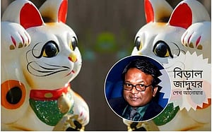 রাজধানী শহরের নাম ‘বিড়াল’