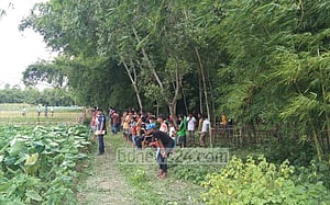 শ্রীমঙ্গলে টুকরো পায়ের পর হাতও উদ্ধার