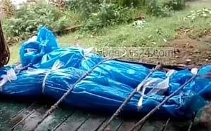 নরসিংদীর পলাশে সড়কের পাশে ২ কিশোরের লাশ