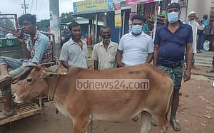 কাপাসিয়া আশ্রায়ন প্রকল্পে কোরবানির গরু দিলেন ইউএনও