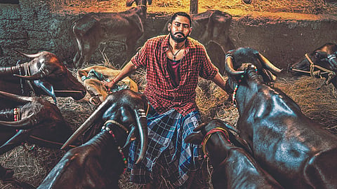 Karavalli-Prajwal Devaraj