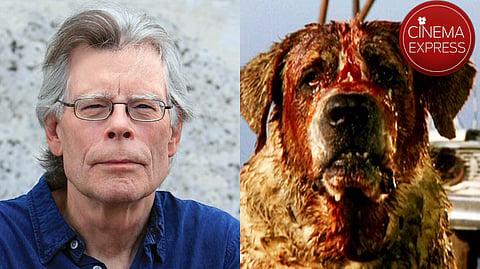 Netflix confirms Stephen King's Cujo remake