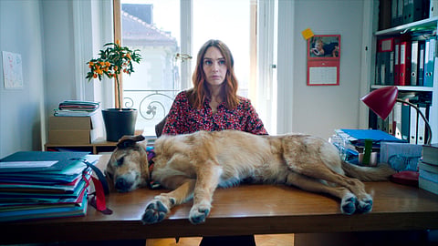 Cinema Without Borders: Who let the dog out?—Dog On Trial