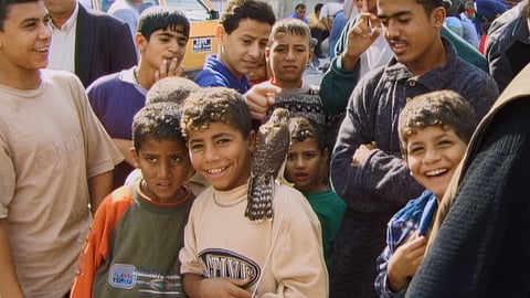 Cinema Without Borders: With Hasan in Gaza – Sentenced to life imprisonment