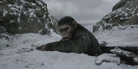 War for the Planet of the Apes: Evocative storyline, but slow as ape compost 