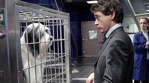 Robert Downey Jr's The Voyage of Doctor Dolittle delayed