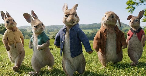 Peter Rabbit to get a sequel 