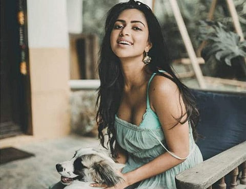 Amala Paul goes to Bollywood 