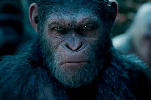 Wes Ball developing new Planet of the Apes film