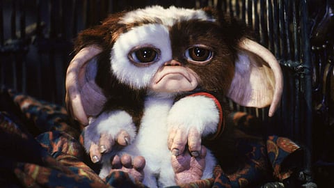 Gremlins animated series is on the way