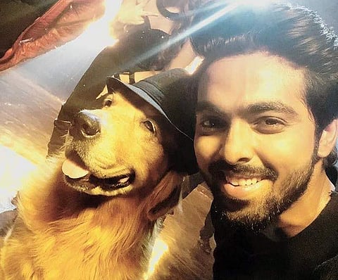 Location Diaries: Dog day afternoons