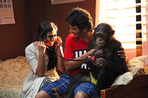 Gorilla Movie Review