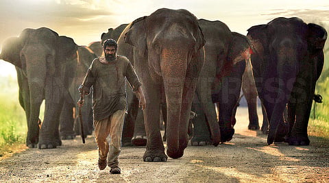 Location Diaries: Jungle Book