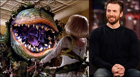 Chris Evans in talks to play dentist Orin Scrivello in Little Shop of Horrors remake