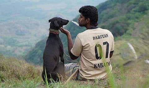 The Literature and Cinema of Mari Selvaraj’s Pariyerum Perumal 