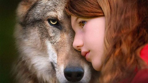 Lack of adequate conflict troubles this endearing film