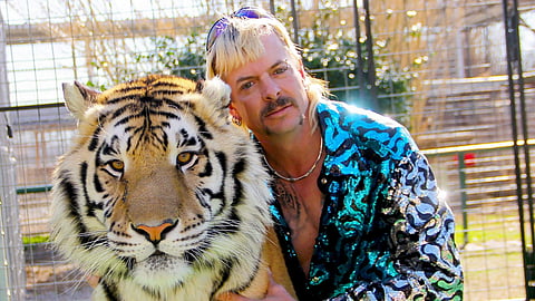 Tiger King 2