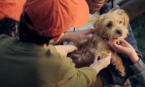Puppy Place