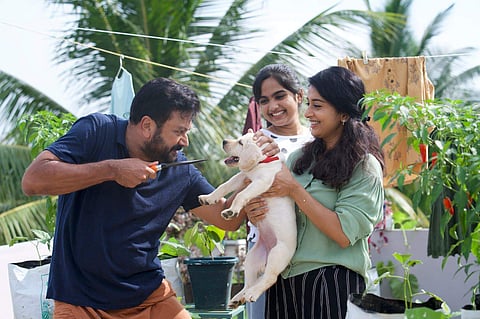 Makal stills