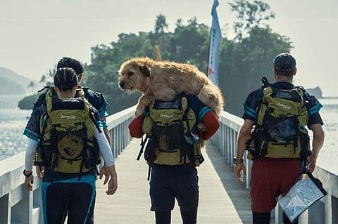 Trailer for Mark Wahlberg's Arthur the King is out