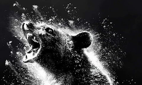 Cocaine Bear mints $52 million worldwide