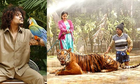 Actor Pugazh: Fans of Jurassic Park will like Mr Zoo Keeper