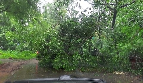 Pernem
