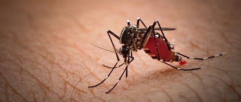 Malaria Patients in Goa