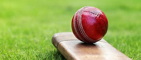 Cricket