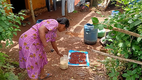 Goa Floods