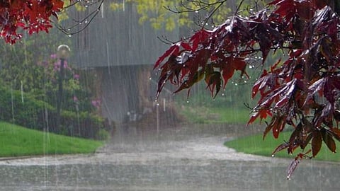 Monsoon Updates