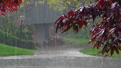 Goa Monsoon